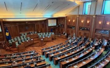 Kuvendi i Kosovës themelon komision hetimor për vrasjen e Arlinda Zekajt