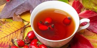 Çaji i trëndafilit, fruti i vogël me përfitime të shumta për organizmin